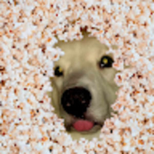 Meet your Posher, Rena